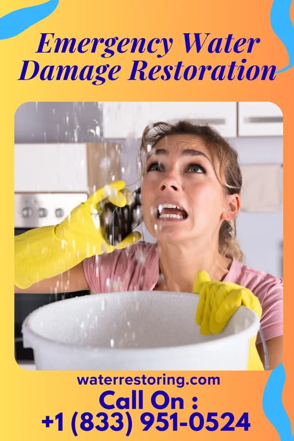 Emergency Water Damage Restoration in Martinsburg, IA