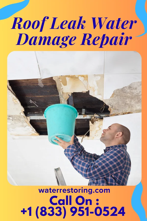 Roof Leak Water Damage Repair in Martinsburg, IA