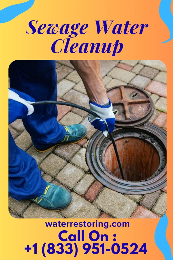 Sewage Water Cleanup in Martinsburg, IA